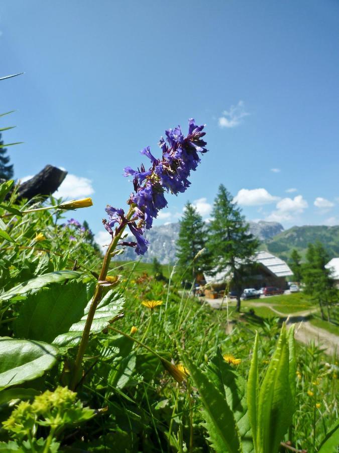 Nassfeld Frühstückspension Wulfenia da Livio Exterior foto